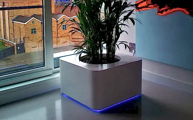 indoor
