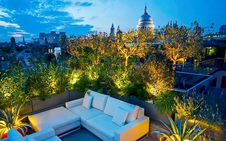 city rooftop