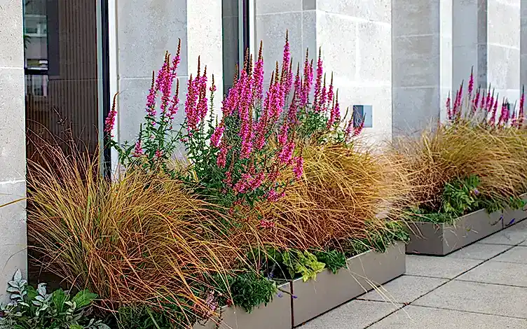 planter