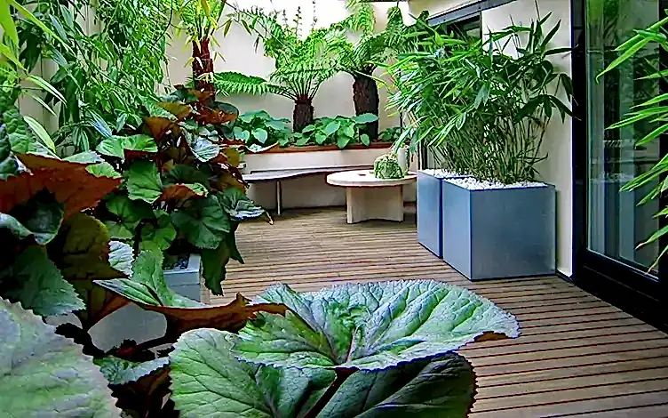 tropical terrace