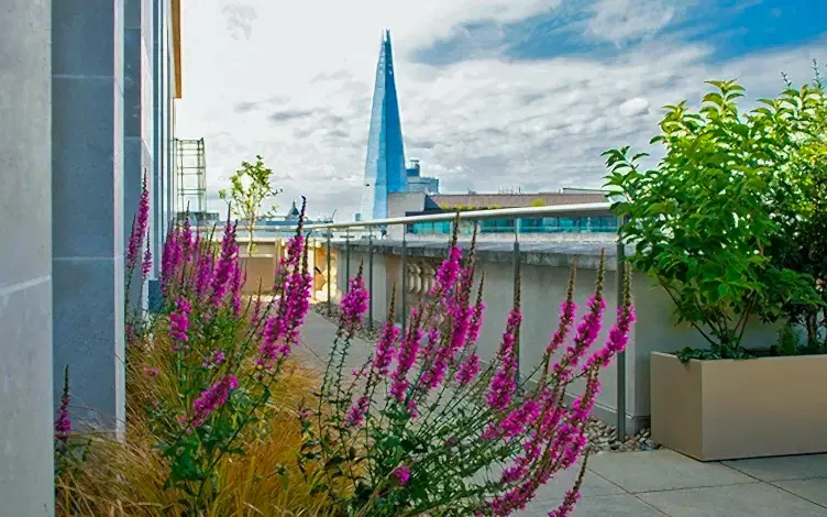eco planting