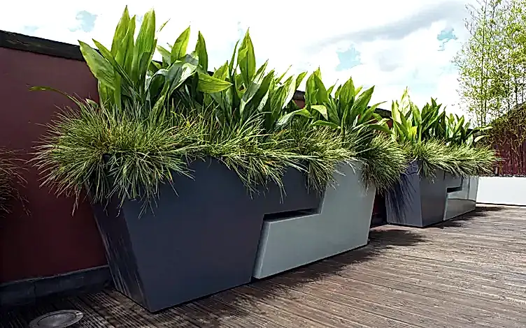 planters