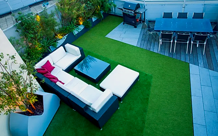 grass