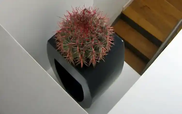 vase