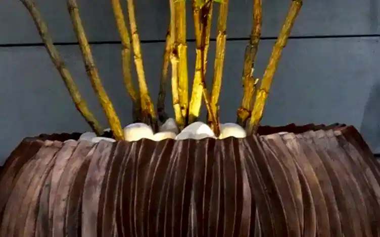 pot