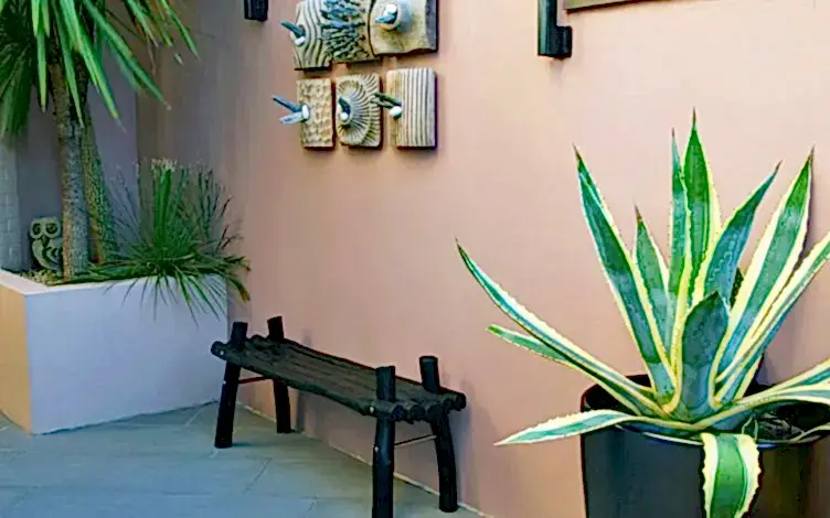 wall