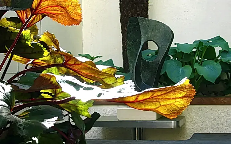 sculpture