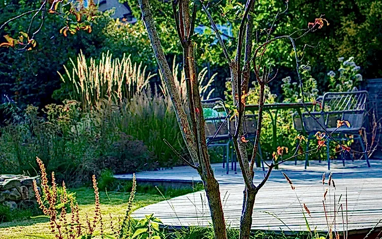 deck