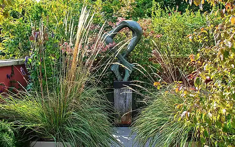 grasses
