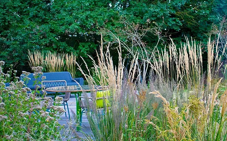 grasses