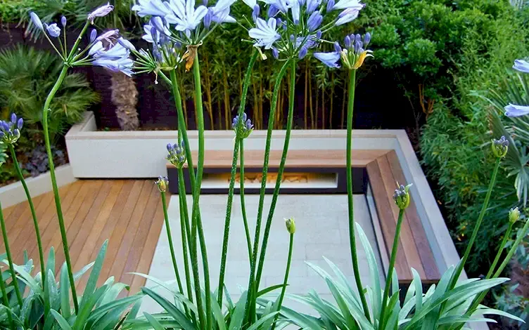terrace