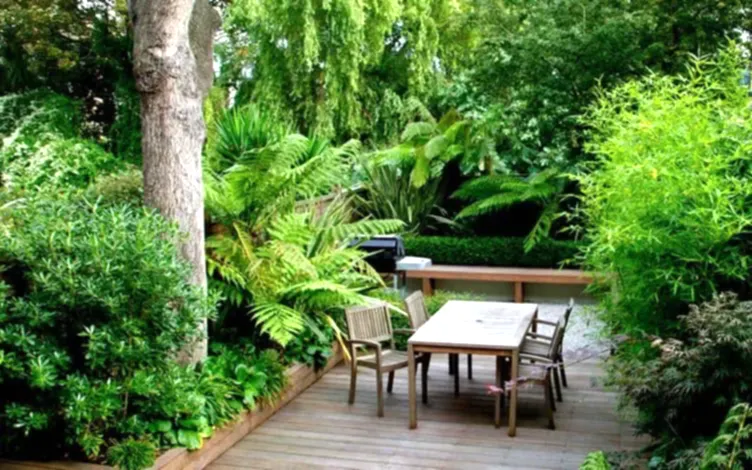 garden