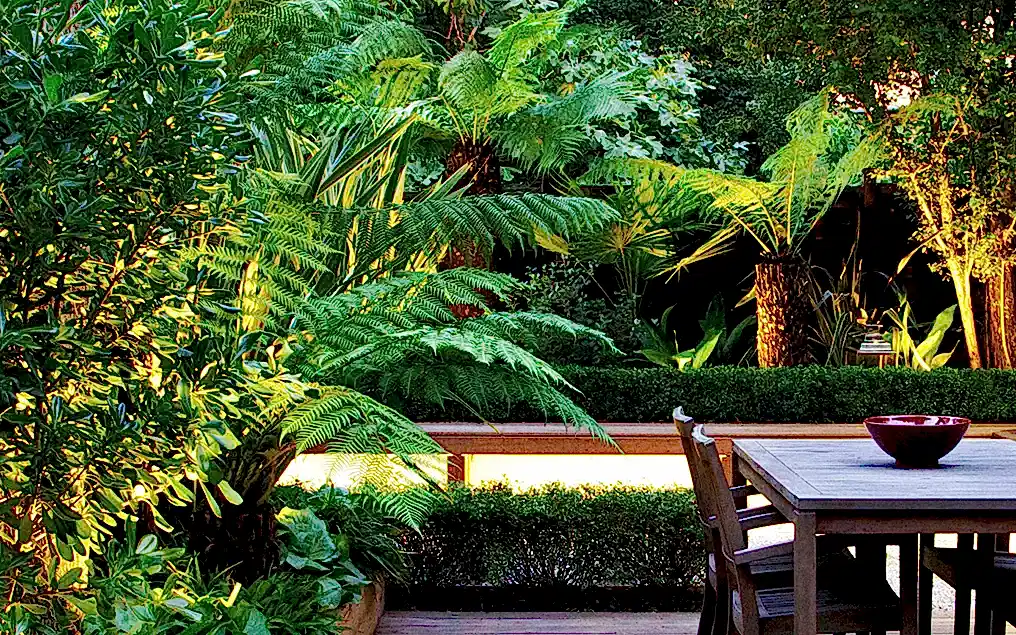 hardy tropical planting