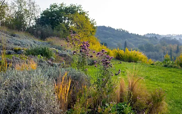 natural planting
