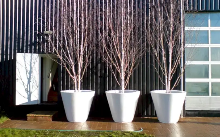 pots