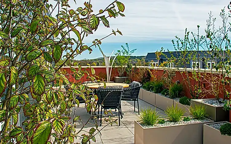 landscaping
