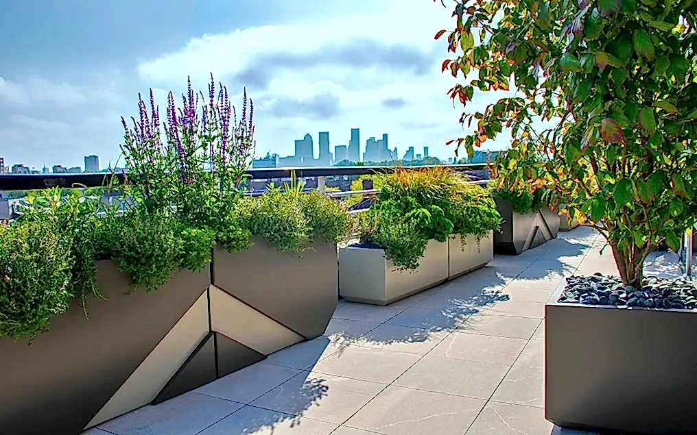 tower bridge roof garden