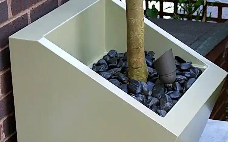 tree