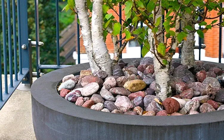 pot