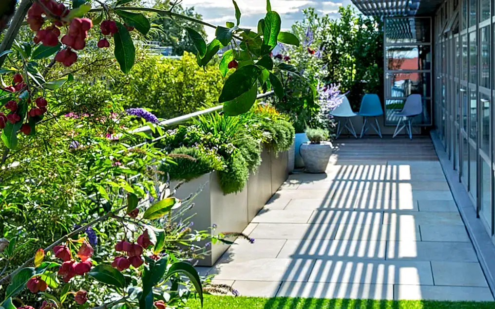 ecological rooftop