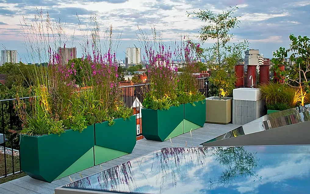 innovative rooftop