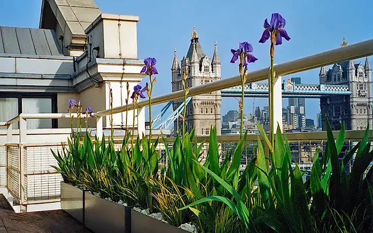 high end rooftop