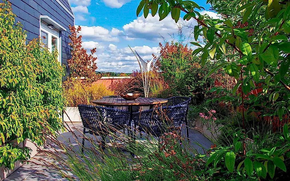 biodiverse roof garden