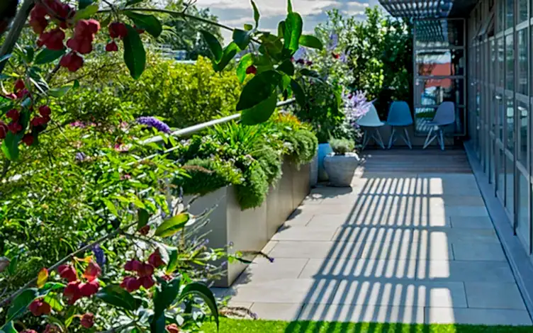 biodiverse roof garden